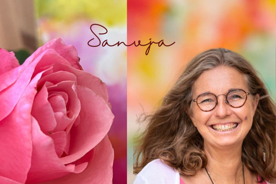 divi-cart-pro-beauty-about-2